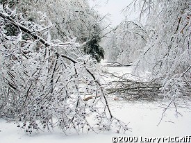 It was the same story near Omaha (Boone County).