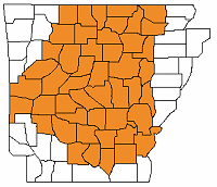 Little Rock County Warning Area 