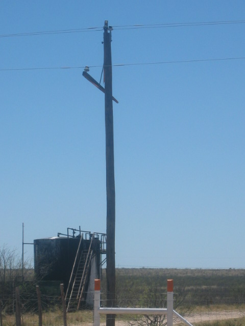 storm damage showing a damaged power pole
