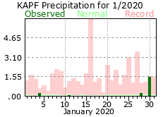 January Precipitation 2020