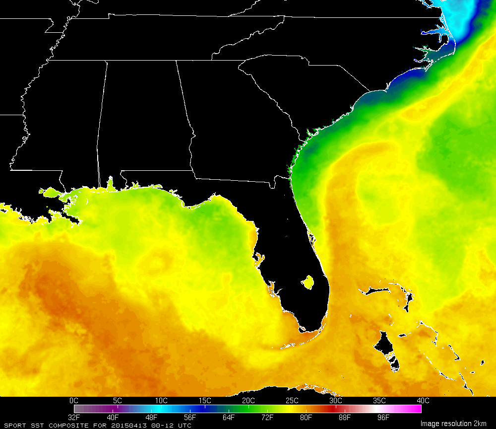 Marine Forecast and Observations