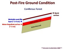 Post-Fire Ground Condition