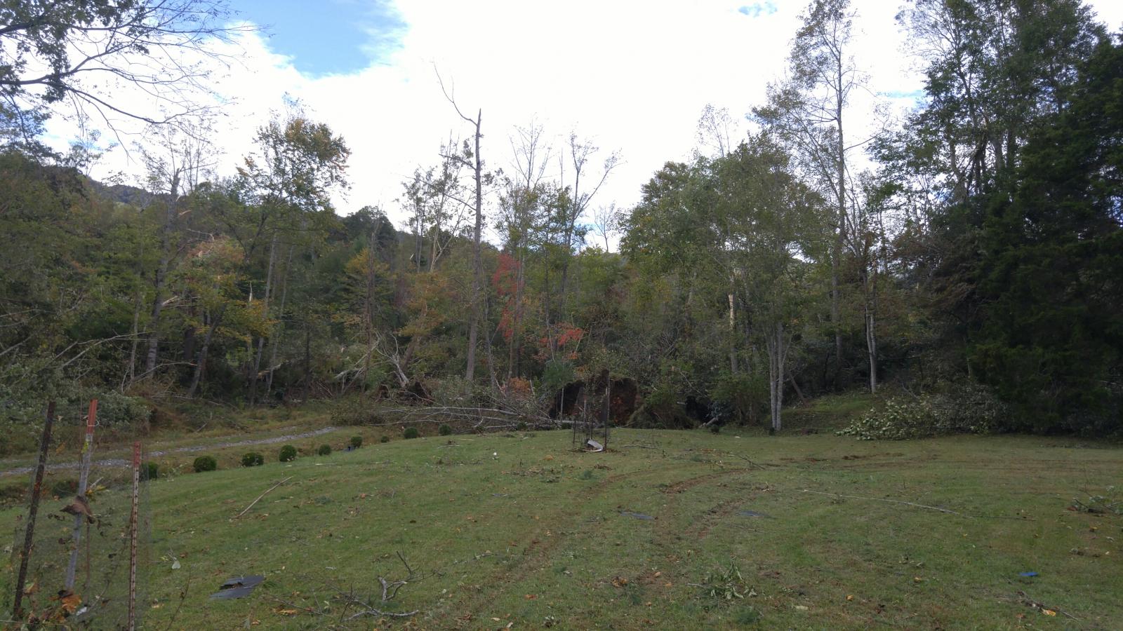 Trees Down on Summit Road in Wilkes County