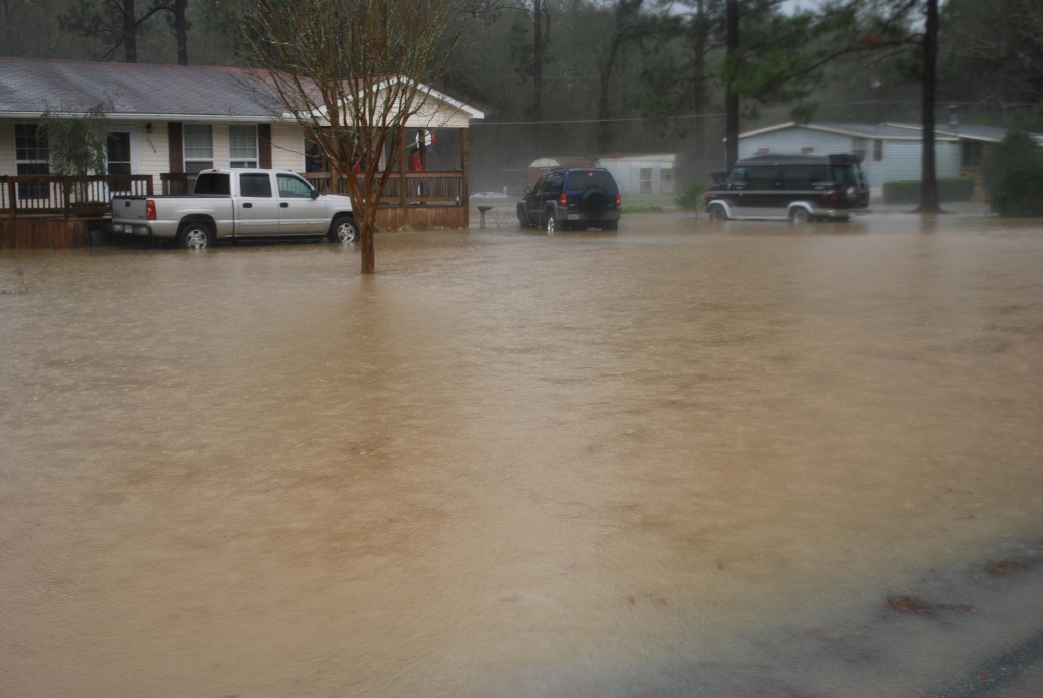 Flooding of a neighborhood in Worth County, GA on February 23, 2013. Photo courtesy of Kellie Parton.