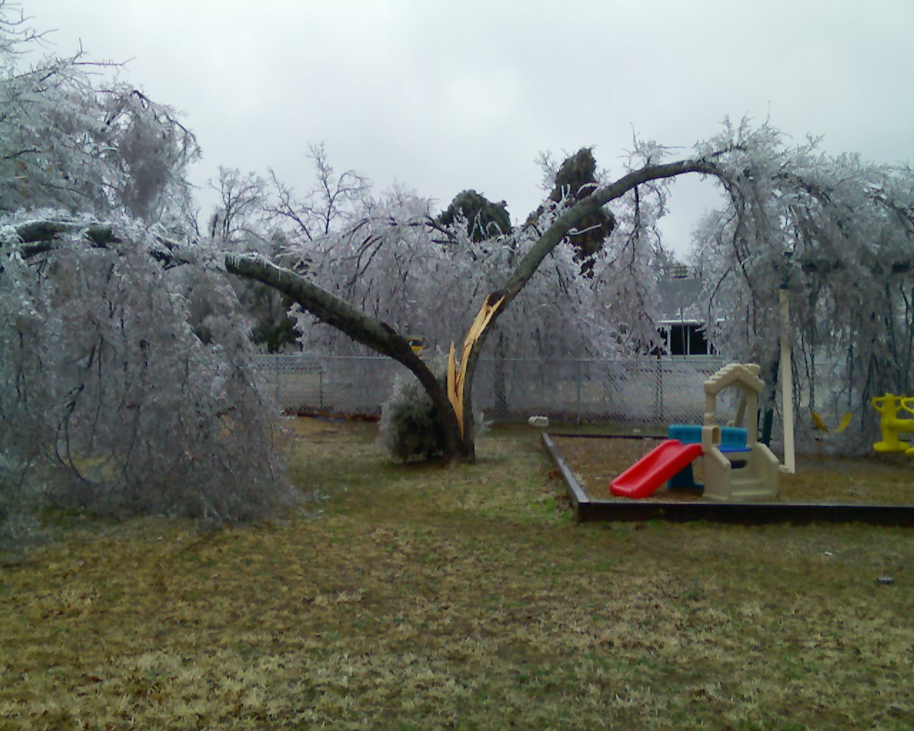 Oklahoma/Arkansas Ice Storm January 12-14, 20071280 x 1024