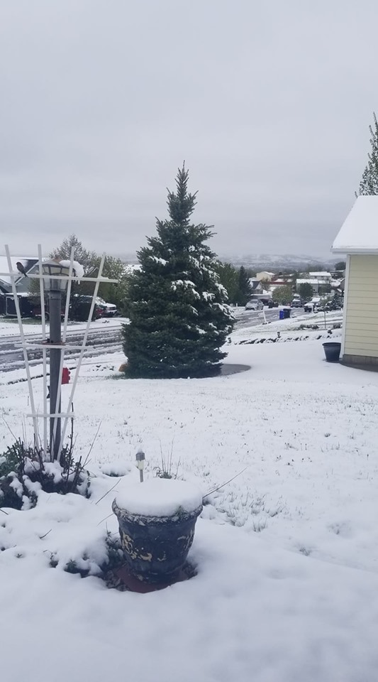 Snow in Rapid Valley
