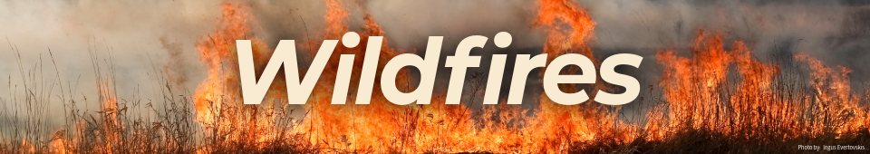 Monsoon Awareness Header Wildfires - An image of a wildfire is shown with text that reads: Wildfires
