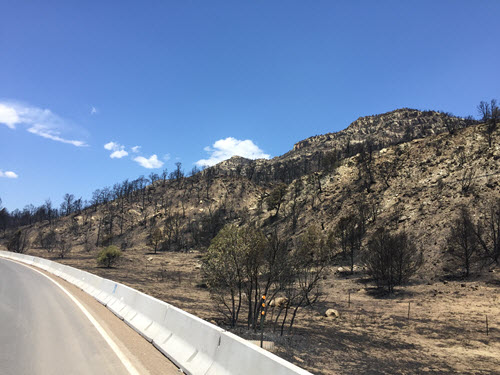 Ute Park Burn Scar