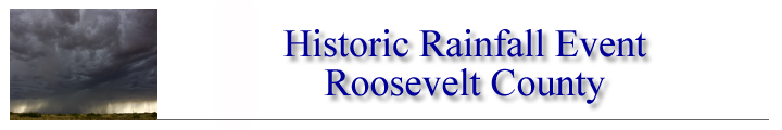 Roosevelt Banner