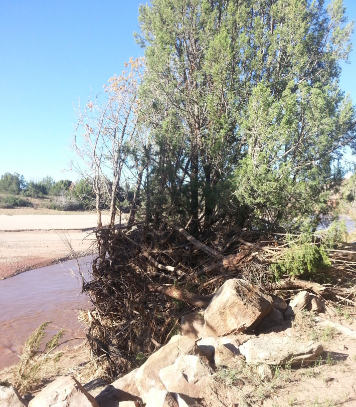 Pecos River near Colonias