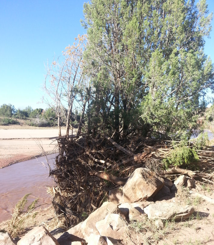 Pecos River near Colonias