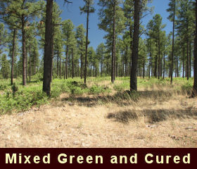 Photo of mixed green and cured fuels