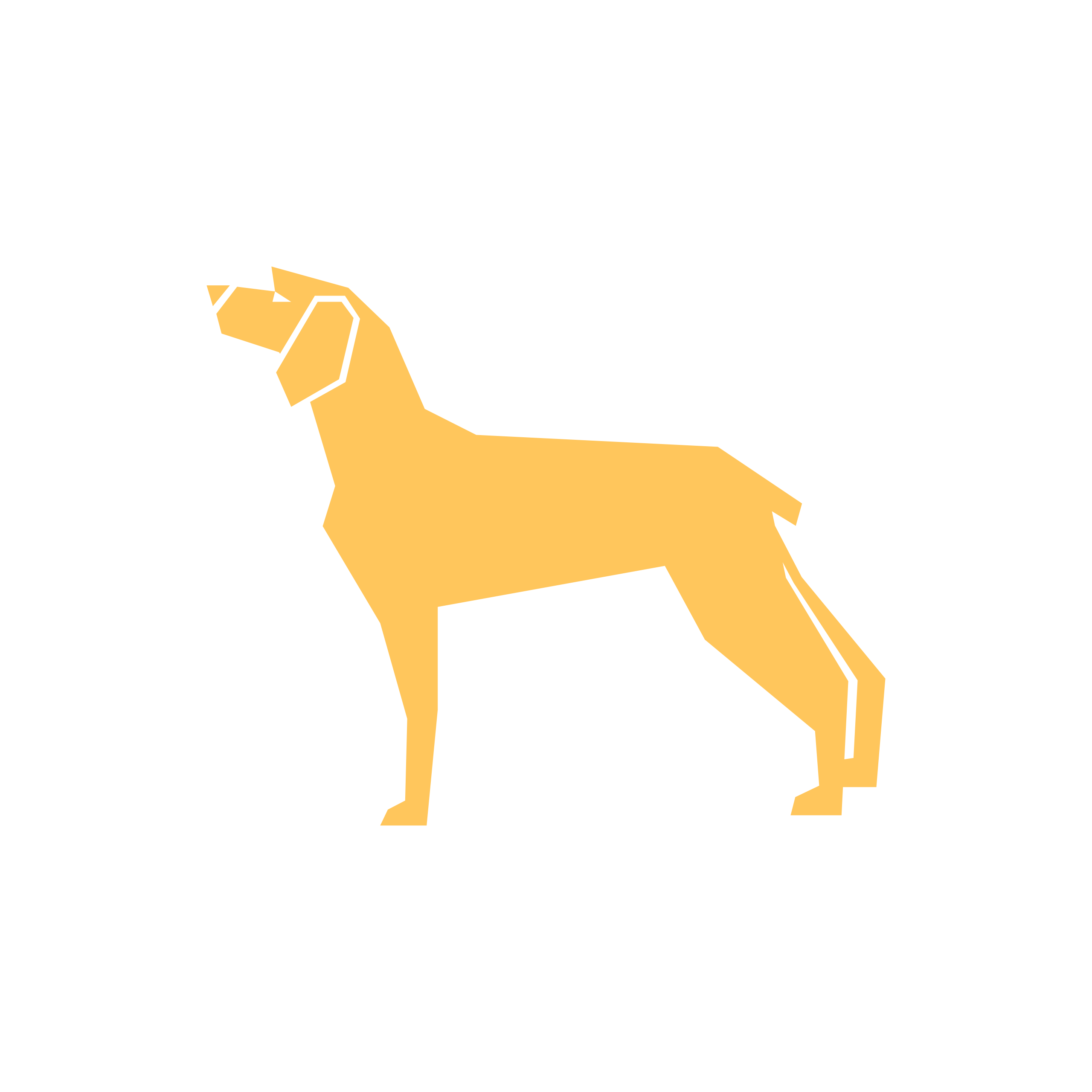 Dog Icon