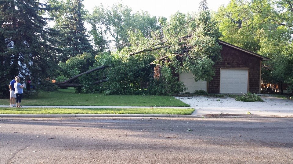 Tree down on a garage in Aberdeen
