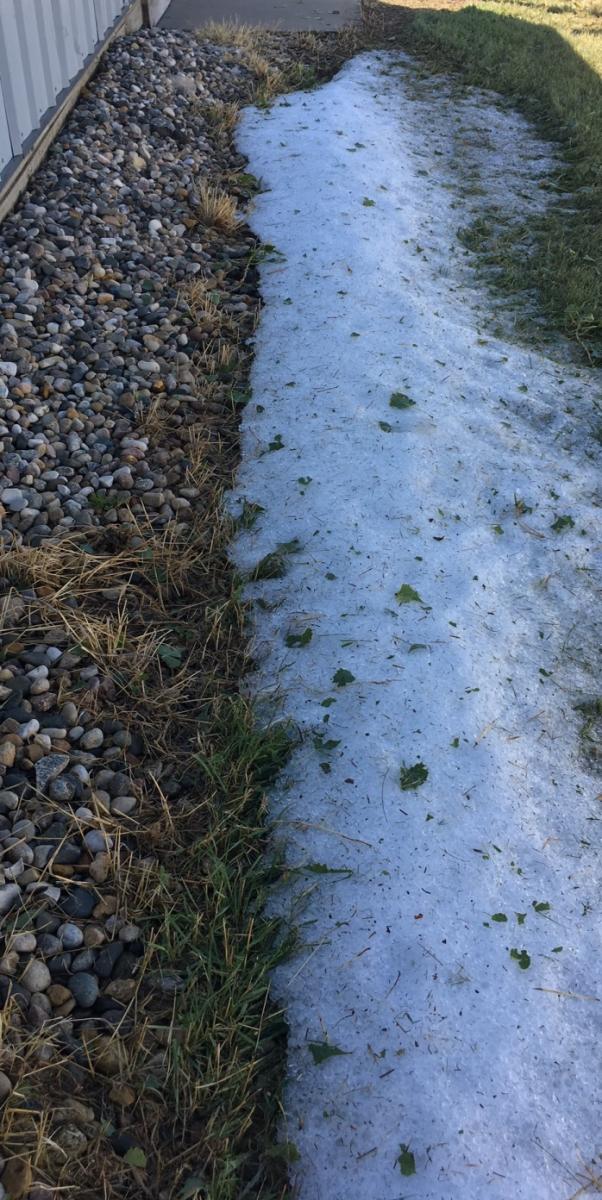 Hail still on the ground in Threshermen's Park around 12 hours after it fell