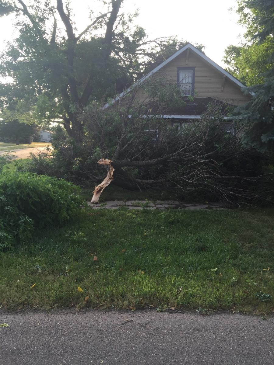 Tree damage around Ipswich (Photo from Edmunds County EM)