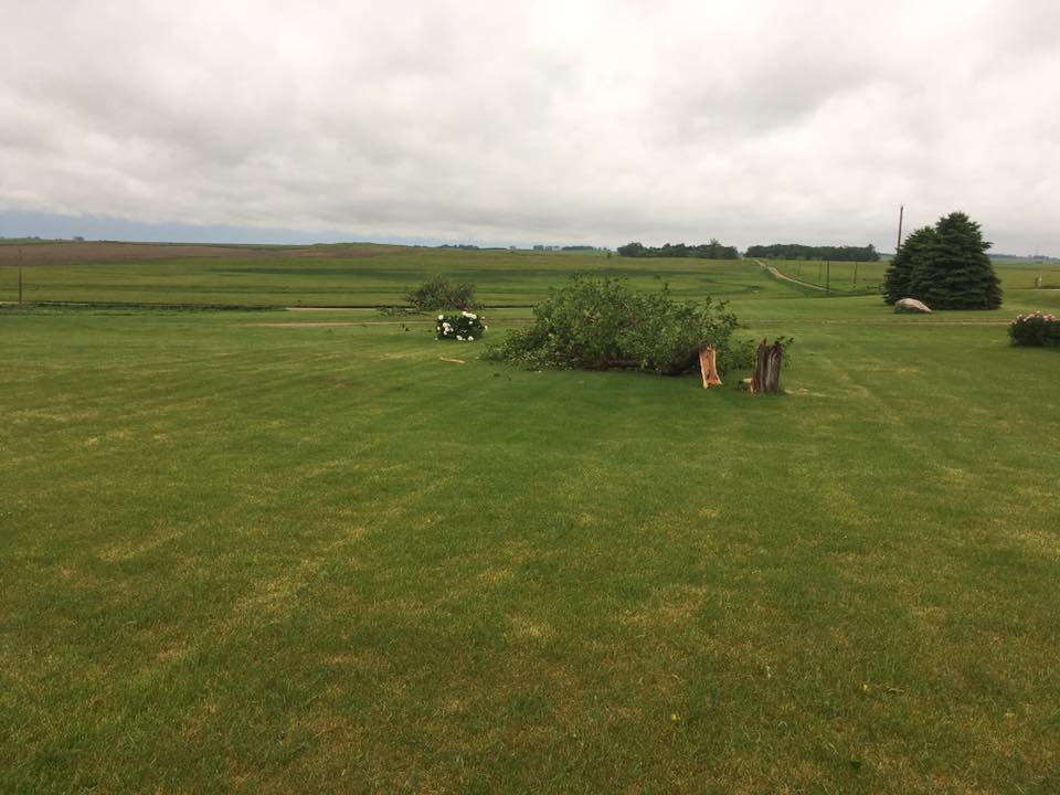 Trees snapped from the strong winds (Juanita Propst - Facebook)