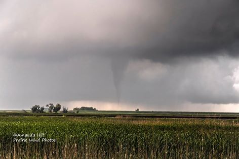 Groton Tornado (Amanda Hill)