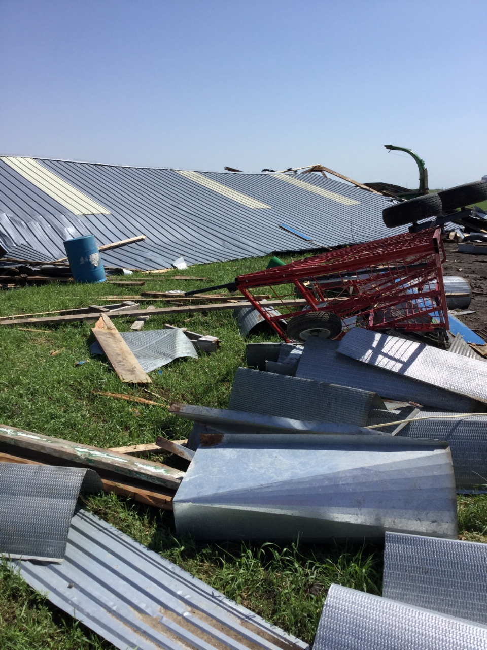 Tree snapped 2 miles west of Westport, SD (Kristi Burns)