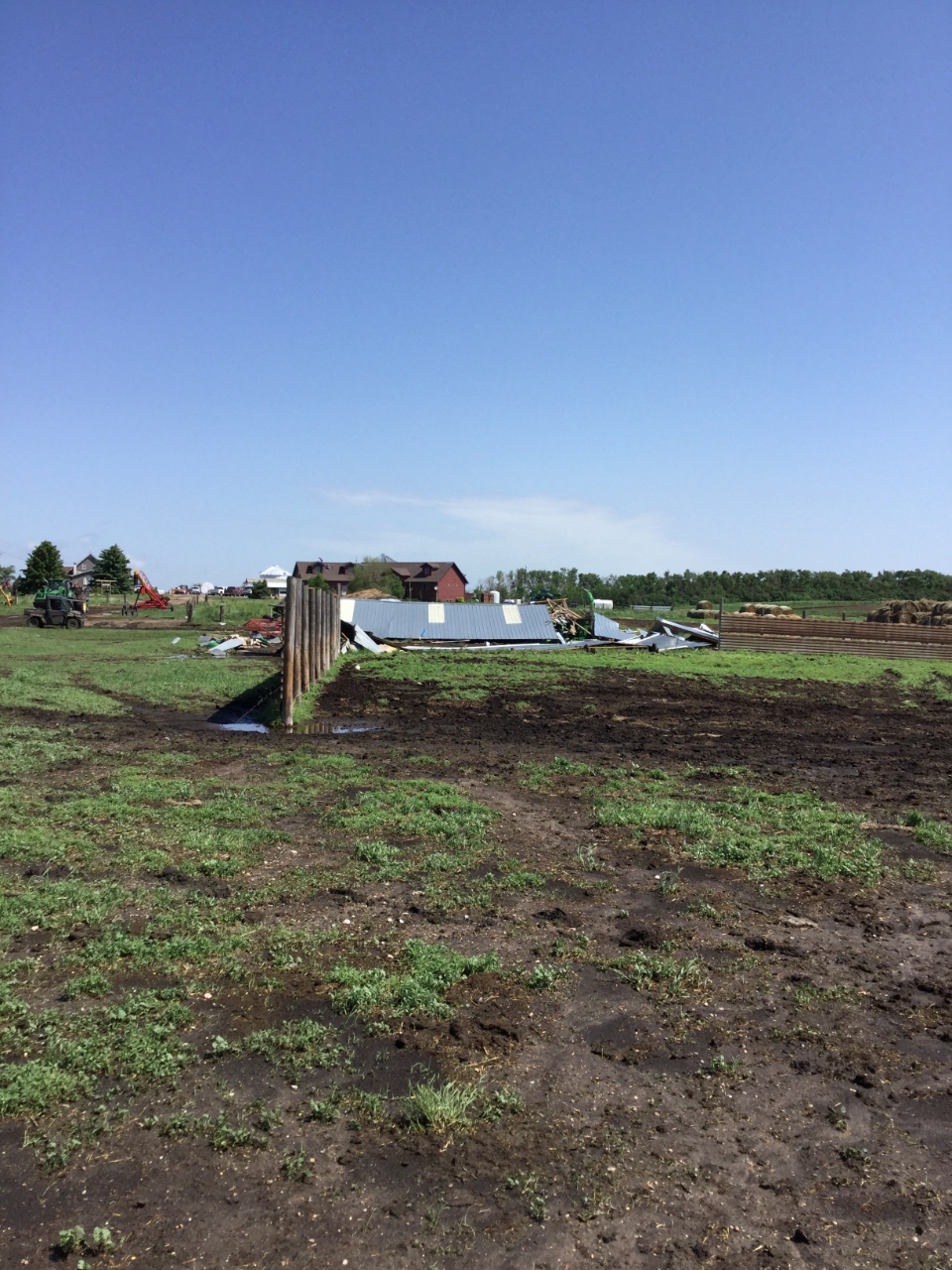 Tree snapped 2 miles west of Westport, SD (Kristi Burns)