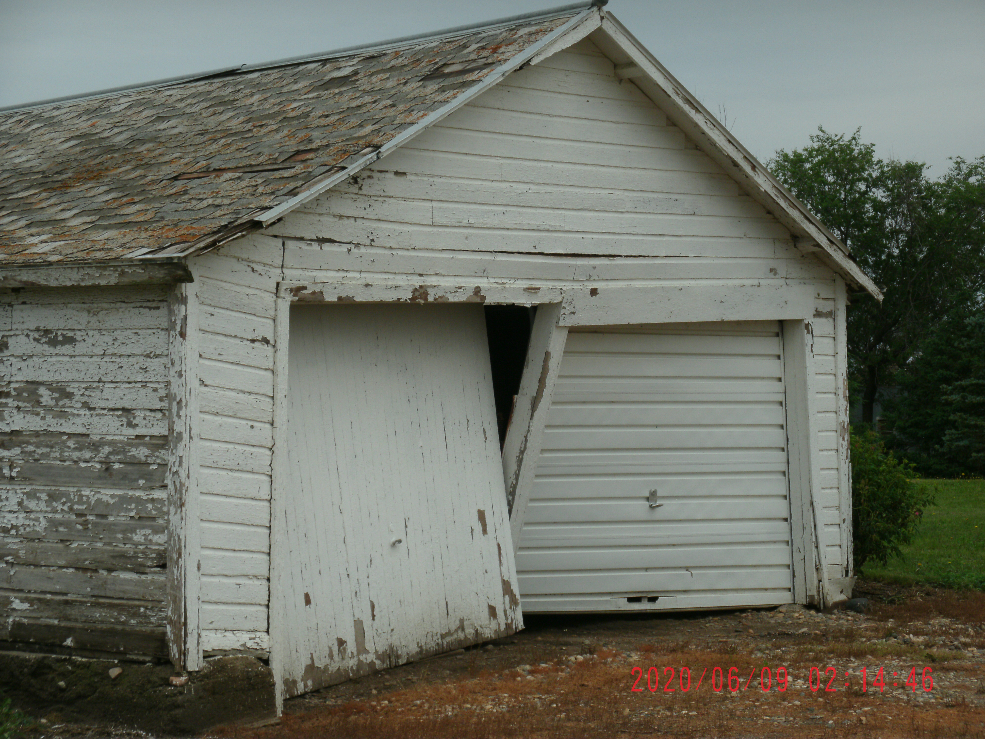 Tree snapped 2 miles west of Westport, SD (Kristi Burns)