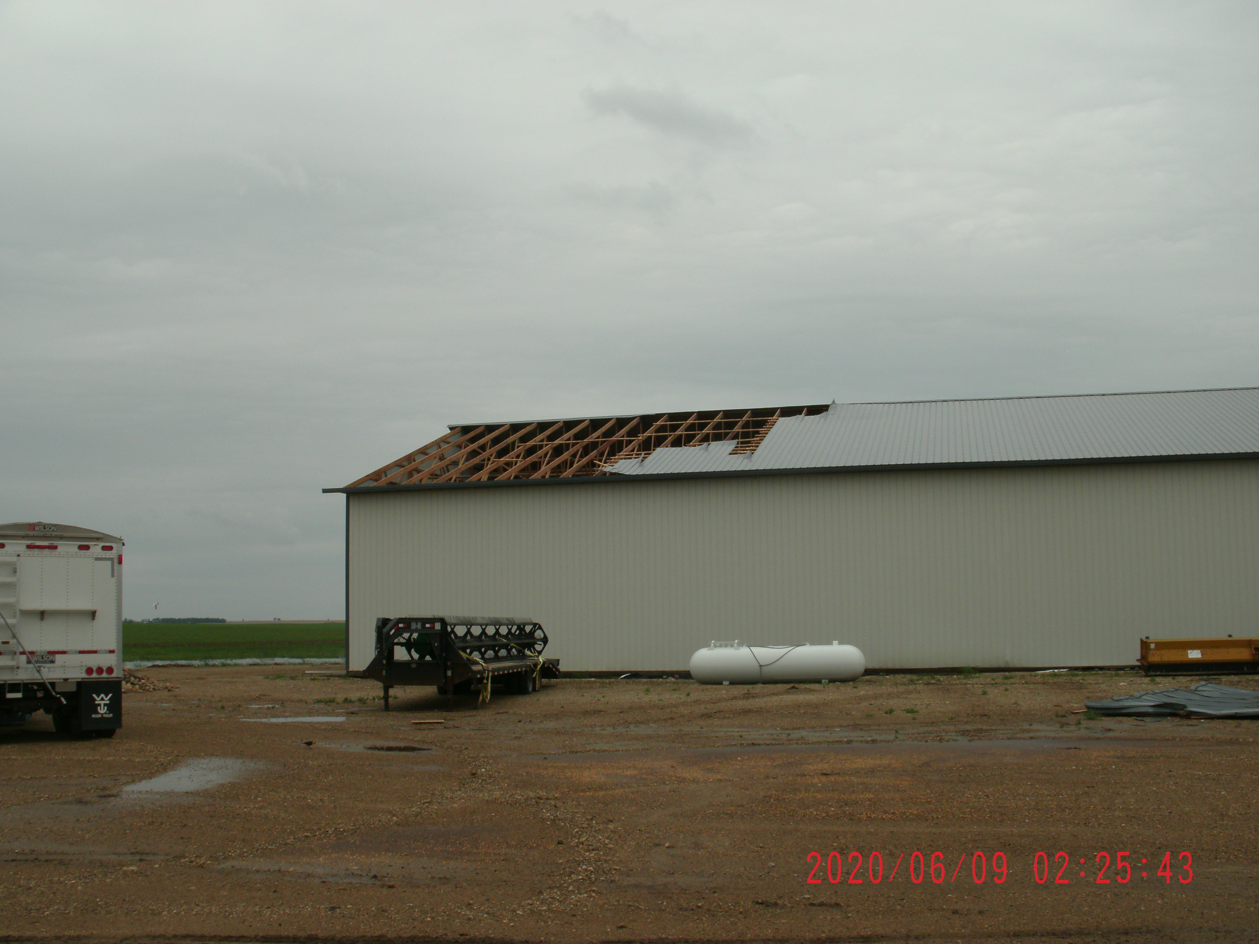 Tree uprooted 2 miles west of Westport, SD (Kristi Burns)