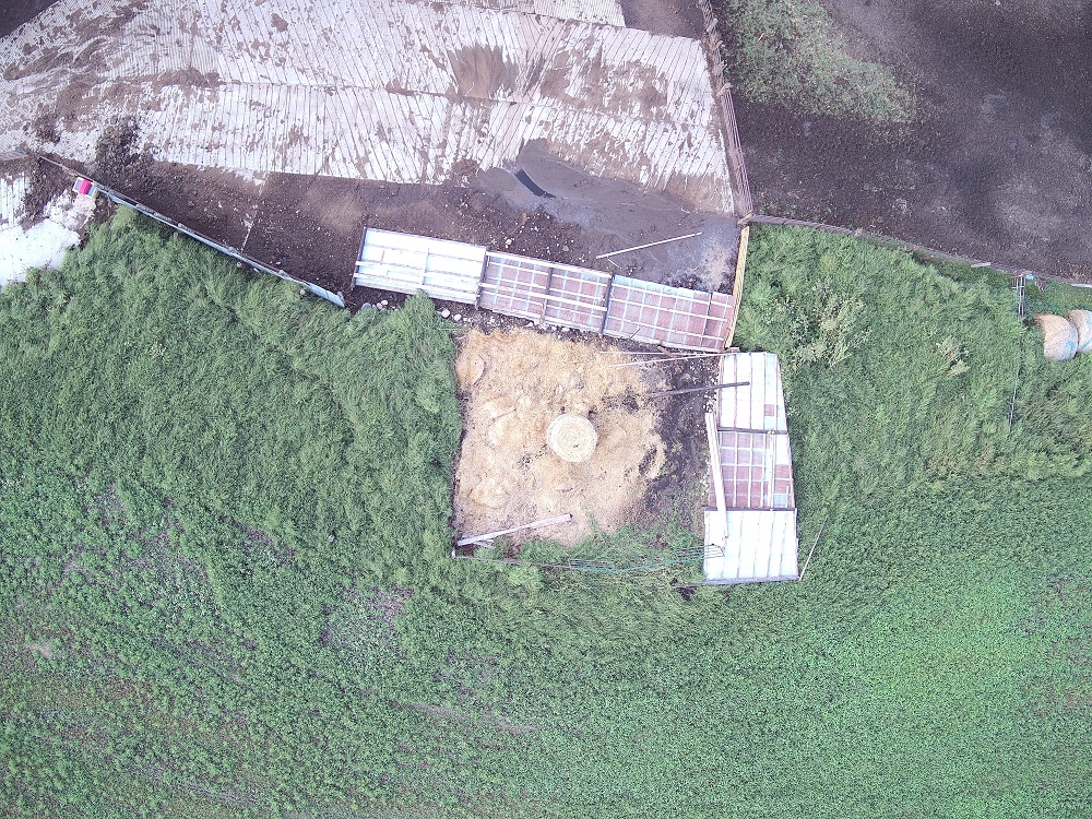 Tornado tracks in bean field on northeast side of Redfield and looking north. Tornado #1 is on the right and tornado #2 is on the left. (Photo by Steve Fleegel)