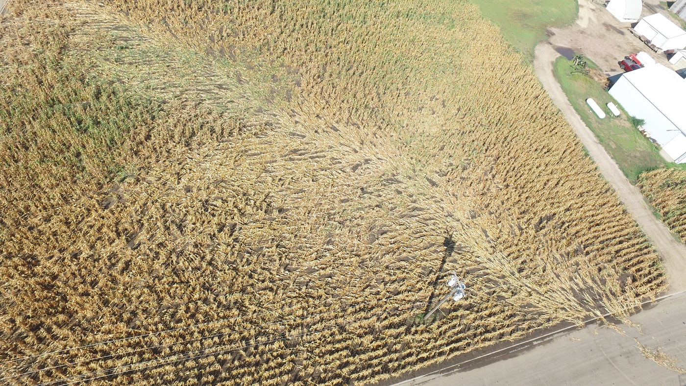 Tornado path through a corn field on the east side of Redfield, SD (Spink County EM & Planning and Zoning)