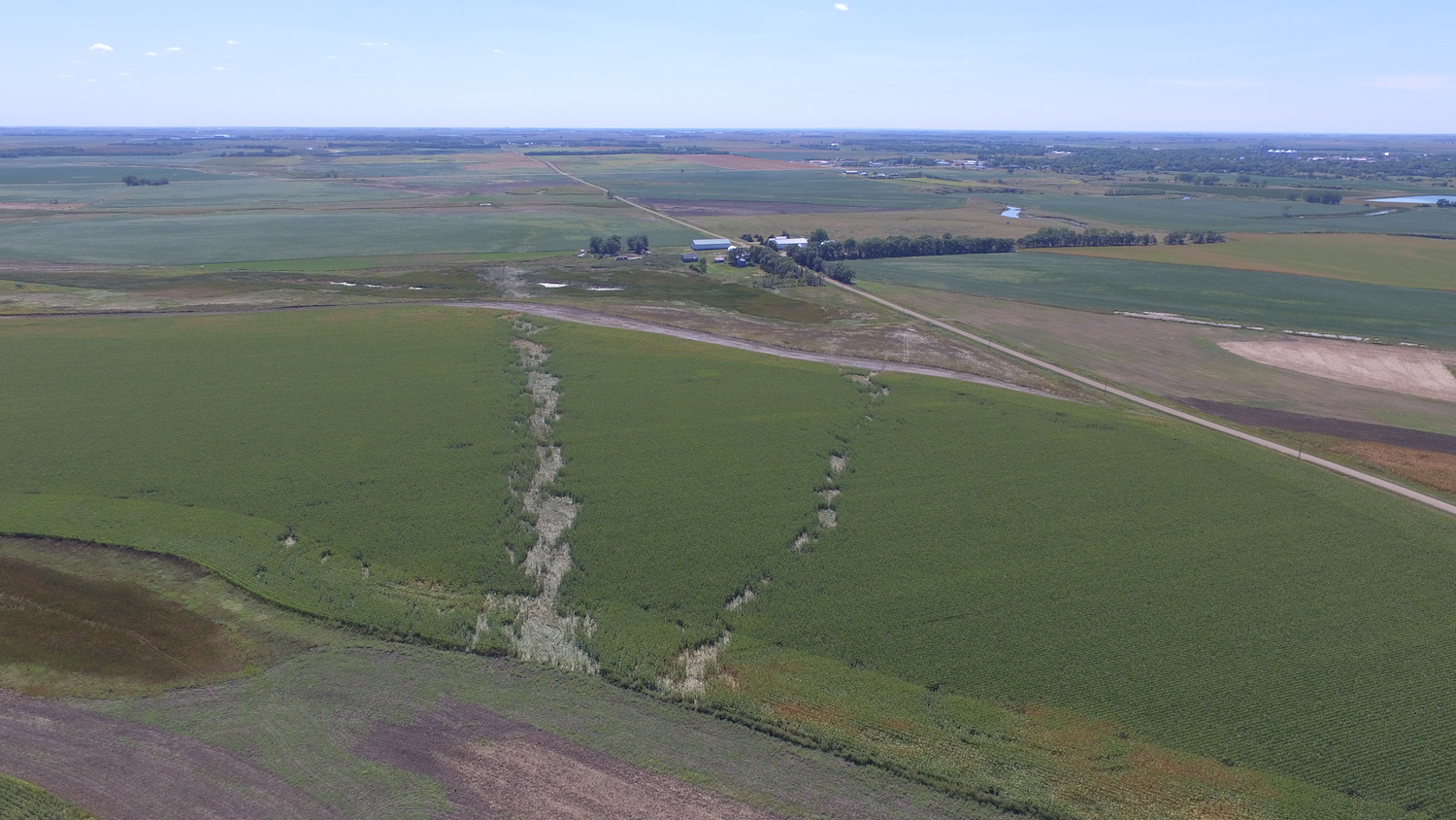 Tornado tracks in corn field on northeast side of Redfield and looking southwest. Tornado #1 is on the right and tornado #2 is on the left. (Photo by Steve Fleegel)