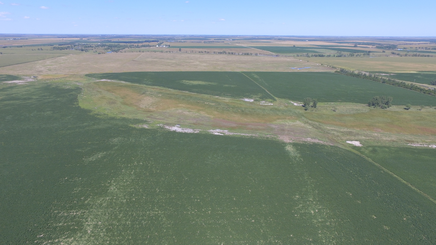 Tornado tracks in bean field on northeast side of Redfield and looking north. Tornado #1 is on the right and tornado #2 is on the left. (Photo by Steve Fleegel)