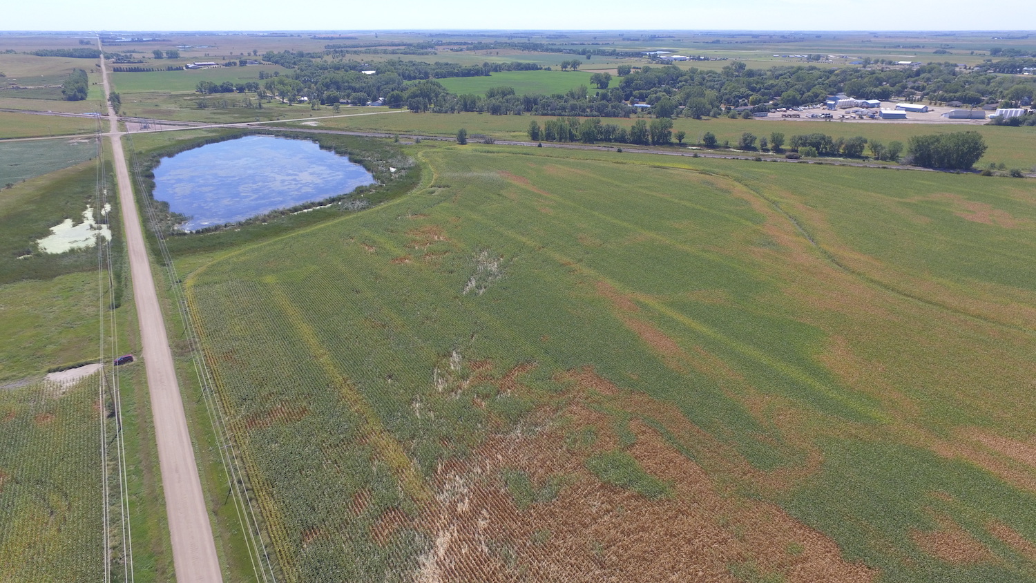Tornado track starting in corn field on southeast side of Redfield (Photo by Steve Fleegel)
