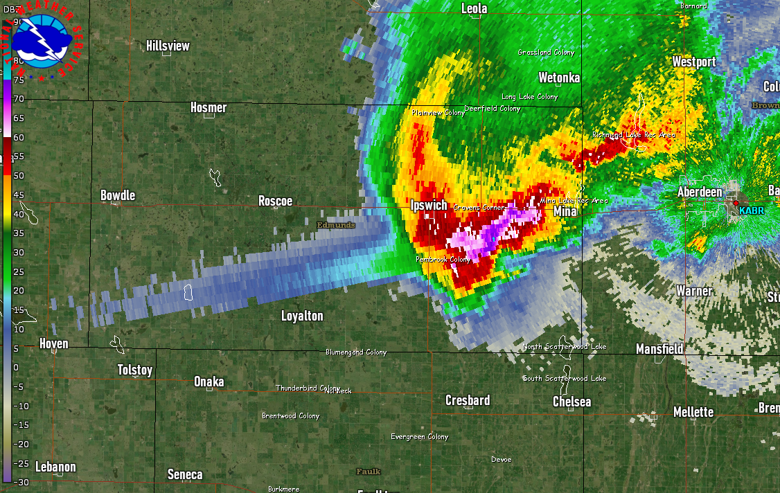 Damage to corn to the west of Warner, SD - Photo from Marc (Twitter @LanceCasual)