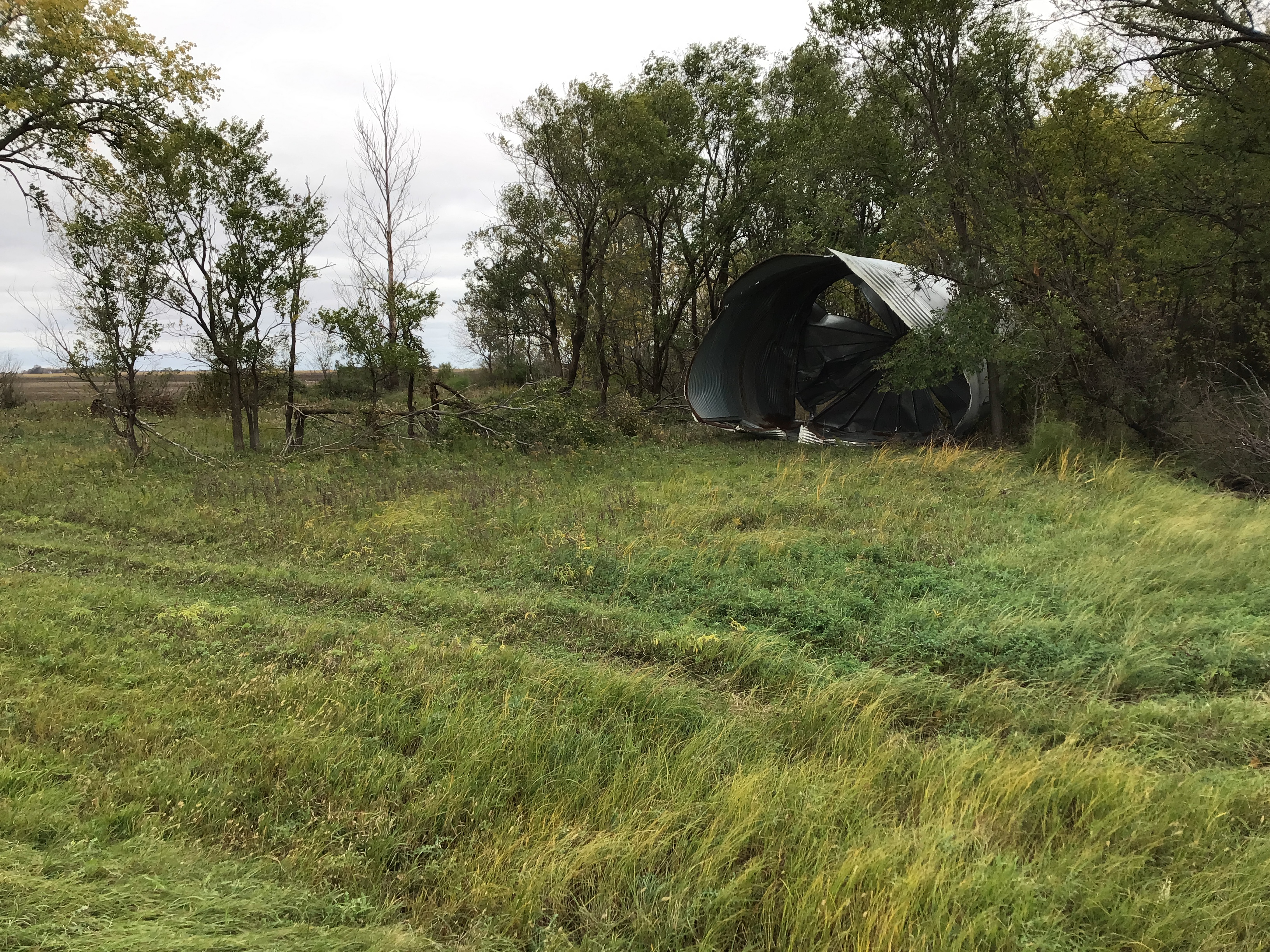 Uprooted tree from a tornado 2 miles to the southwest of Dumont, MN.Â  (Photo by Nick and Amanda Elms)