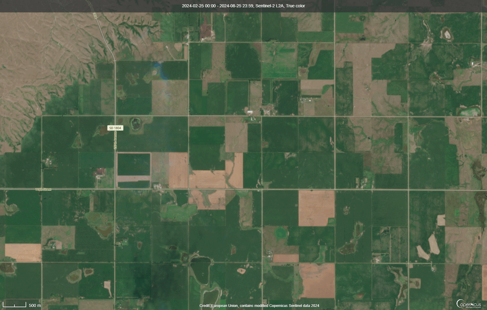 The tornado tracks can be seen in this loop of Sentinel Satellite data. The first image is from 8/25/2024 and the second image is from 8/30/2024.  Data source: Copernicus Sentinel Data 2024