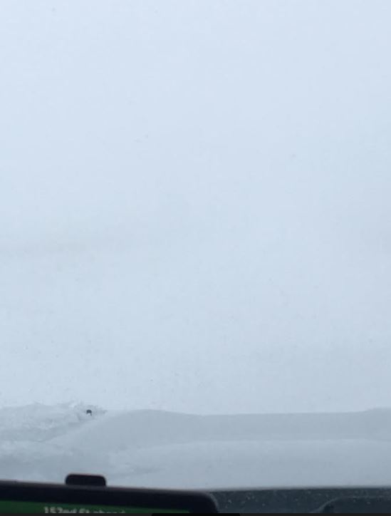 Reduced visibility in Waubay at 830 AM CDT April 11, 2019 (Source: Gloria Jorgenson - Twitter)
