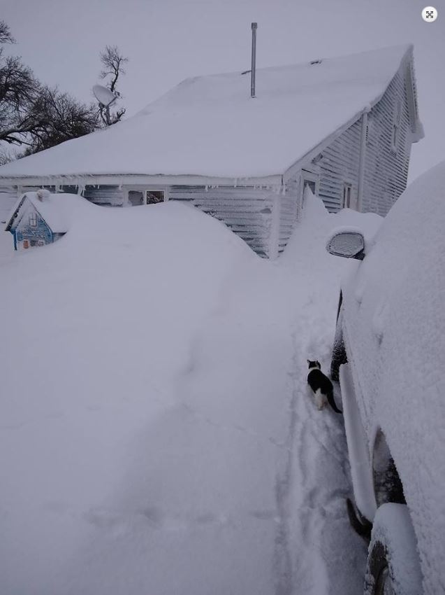 Reduced visibility in Waubay at 830 AM CDT April 11, 2019 (Source: Gloria Jorgenson - Twitter)