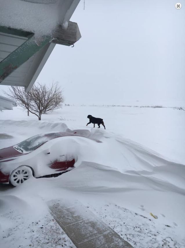 Reduced visibility in Waubay at 830 AM CDT April 11, 2019 (Source: Gloria Jorgenson - Twitter)