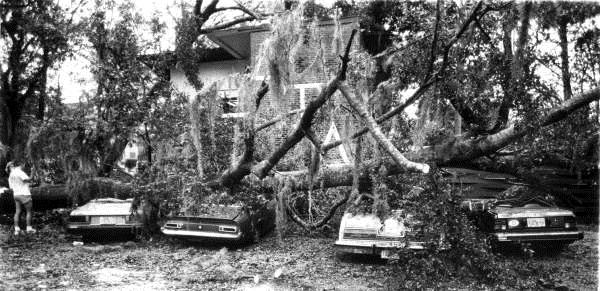 Hurricane Kate damaged cars - Tallahassee, Florida