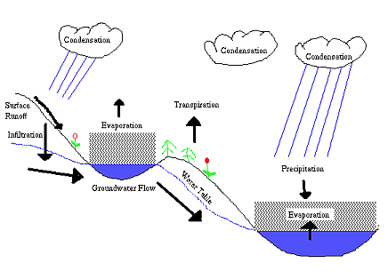 Hydrologic Cycle