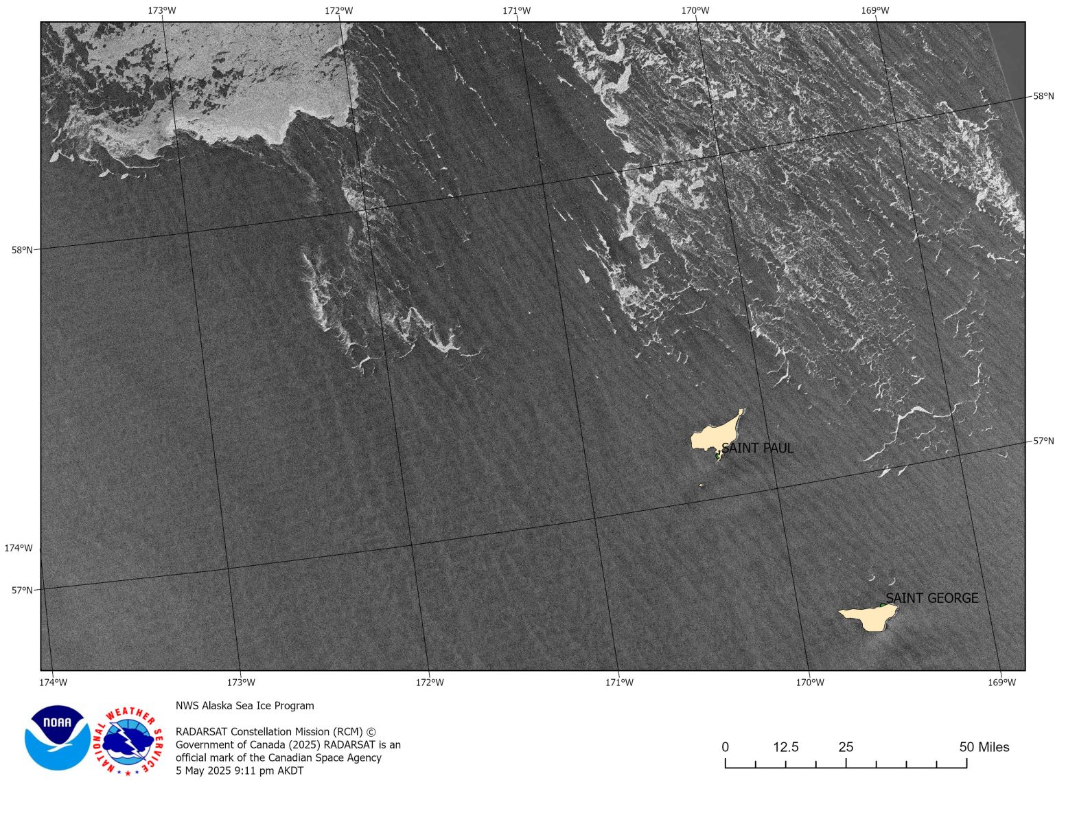 Satellite image of sea ice near the Pribilof Islands