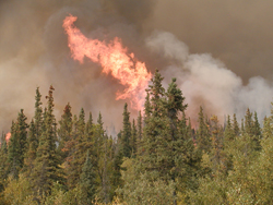 Image of wildfire
