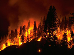 Image of wildfire