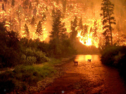 Image of fire in Montana