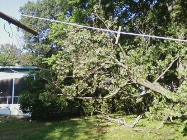 Northern Neck Damage (Picture: Stormdata.org/Nancy Smith)