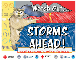 Owlie SKYWARN Brochure