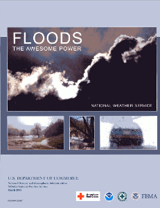 Flood Safety Brochure