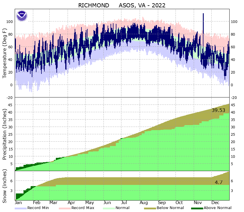 RIC Year To Date Graph