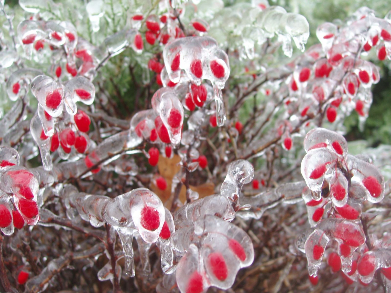 Major Winter Storms