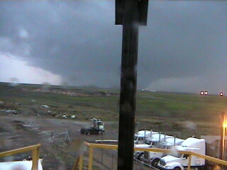 Cactus Tornado