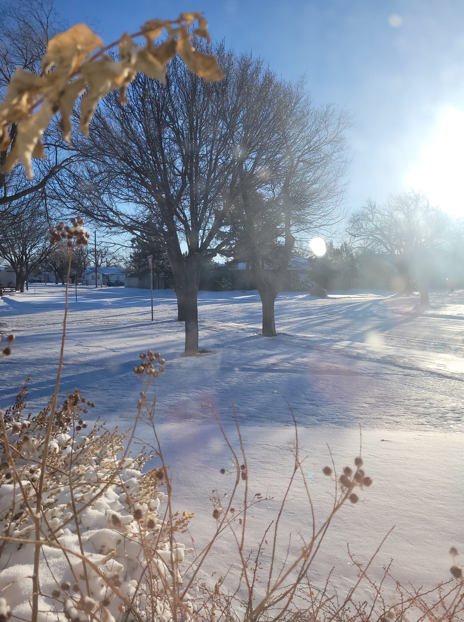 Photo by Shelia Martin Burke of a residential neighborhood the morning after the February 15th, 2023 snow event in Stratford, Texas